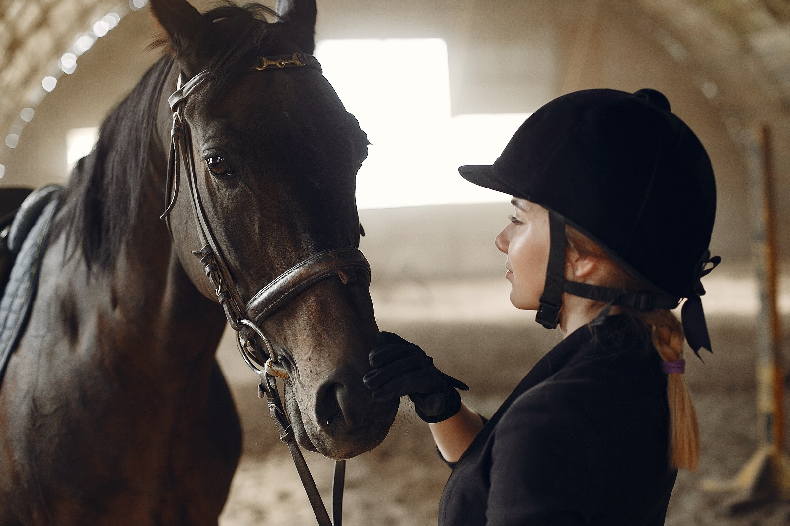 The rider in black form trains with the horse