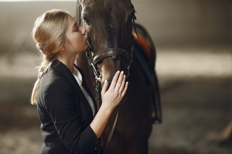 The rider in black form trains with the horse