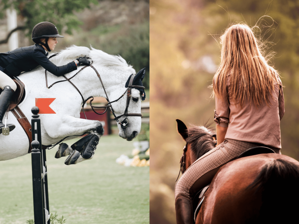 Monta Inglese & Aericana - Le Rose